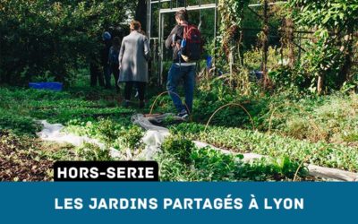 Les Jardins Partagés à Lyon – Pourquoi et comment les rejoindre ?