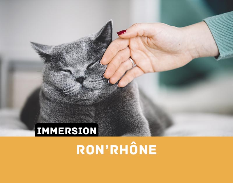 Immersion RonRhone Miniature AssoDiscovery